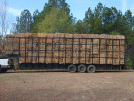 Loaded Trailor of Square Baled Straw